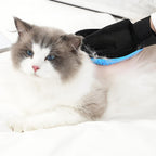 “Gants de toilettage bleu pour animaux — brosse pour enlever les poils de chat et de chien avec effet massage”