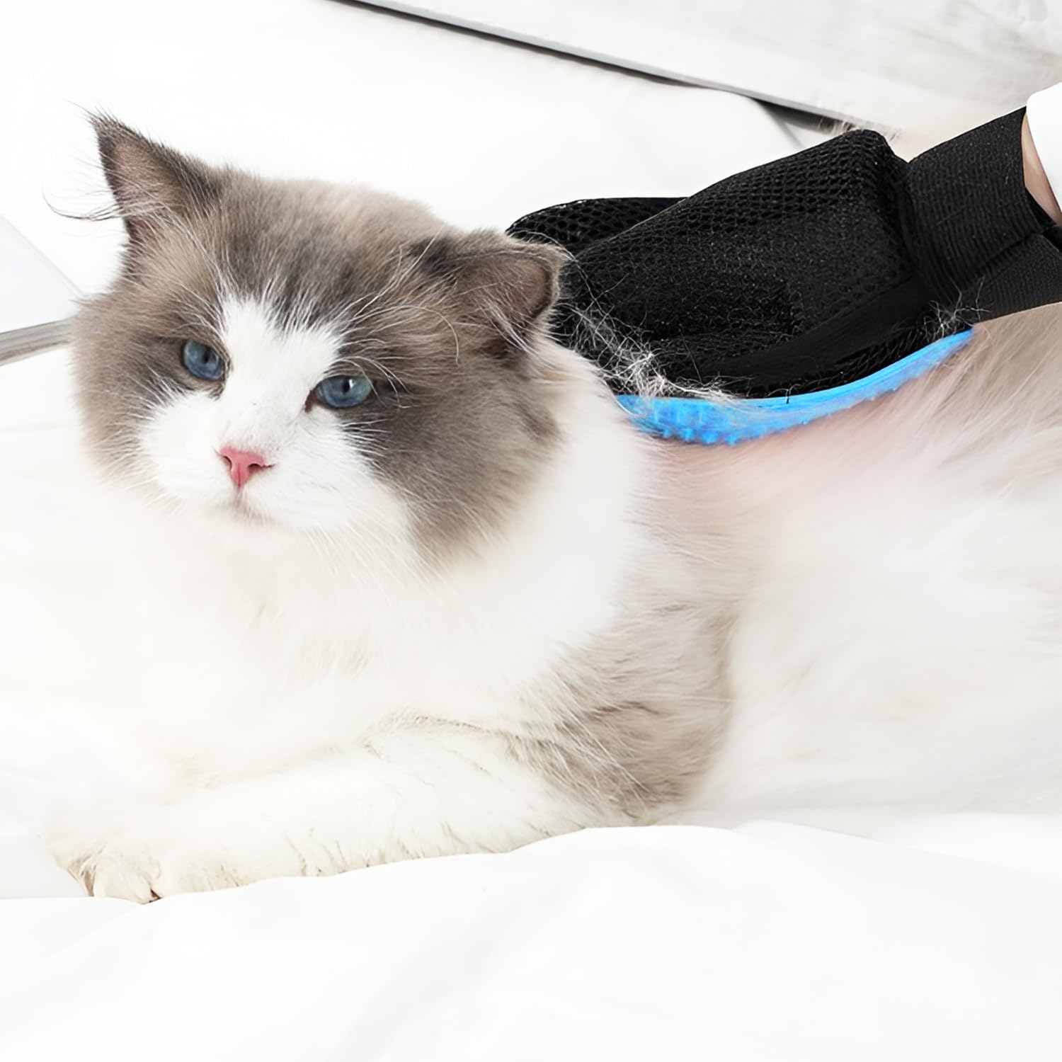 “Gants de toilettage bleu pour animaux — brosse pour enlever les poils de chat et de chien avec effet massage”