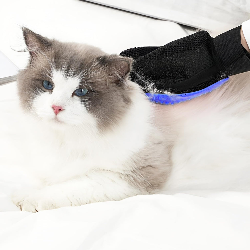“Gants de toilettage bleu pour animaux — brosse pour enlever les poils de chat et de chien avec effet massage”