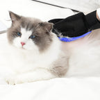 “Gants de toilettage bleu pour animaux — brosse pour enlever les poils de chat et de chien avec effet massage”